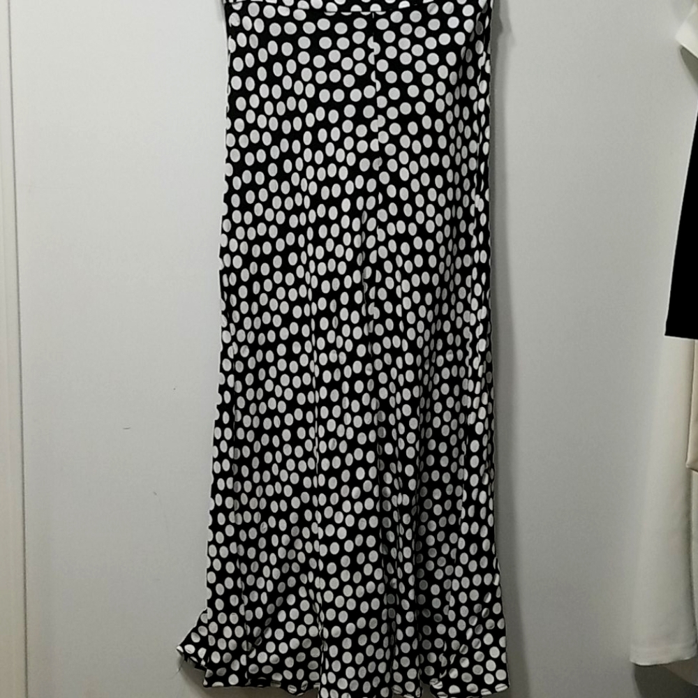 Zara polka dot skirt